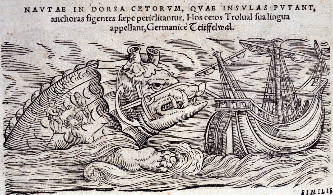 鲸鱼与岛屿混淆。 两个人在一个海洋怪物的背上生火。 Conrad Gesner (1516-1565)，提古里雕刻 n Historia Animalium 作者 未知艺术家