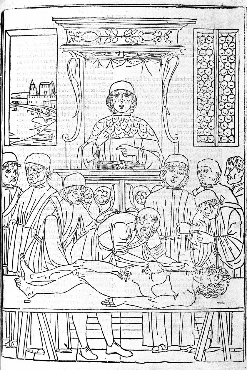 Anatomical dissection. Engraving from a treatise of Medicine by Gerolamo Cardano (Cardanus Hieronymus), Florence 作者 未知艺术家