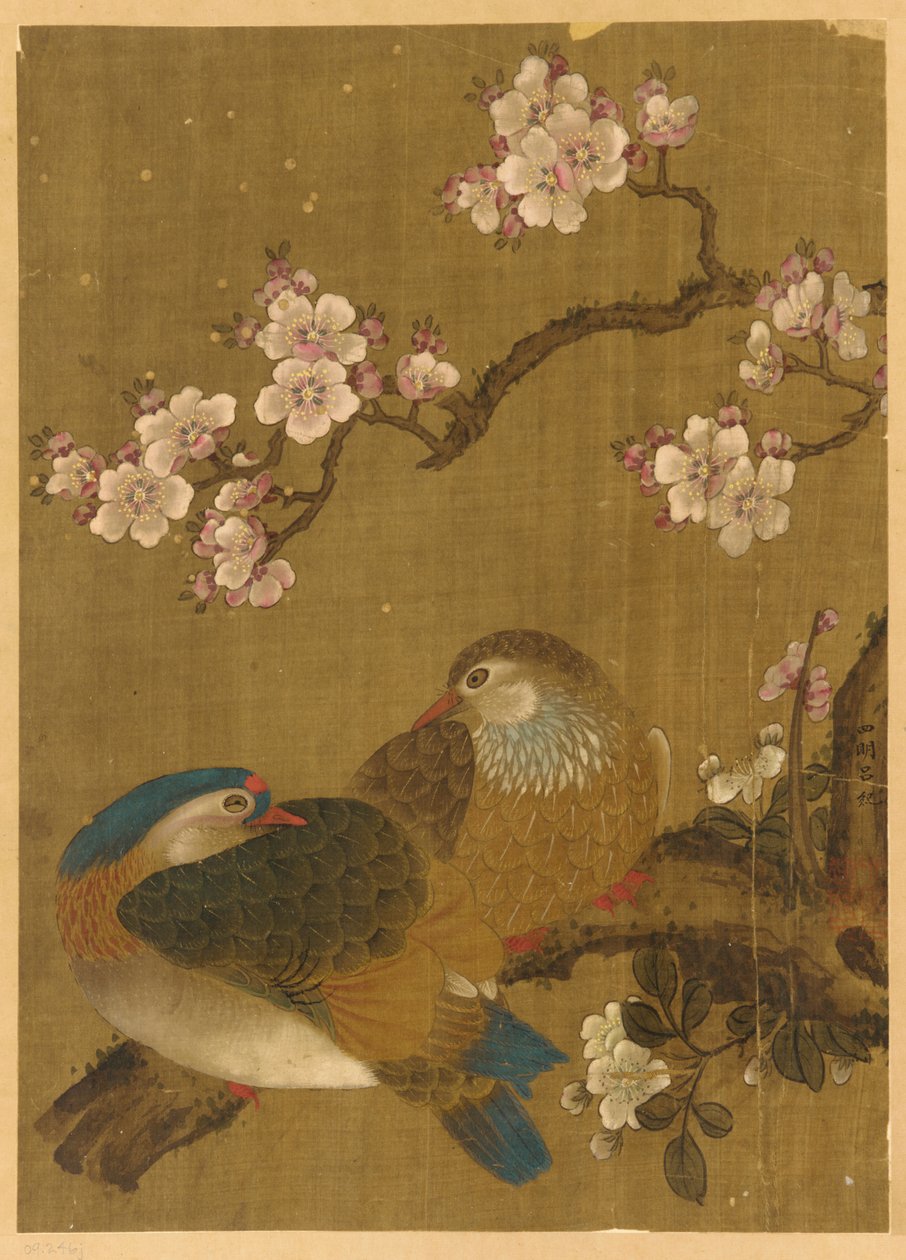 鸟儿和梅花 作者 未知艺术家
