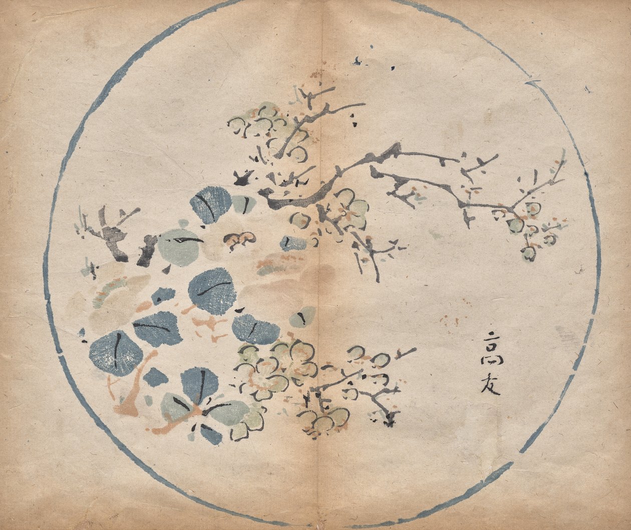 花朵 作者 未知艺术家
