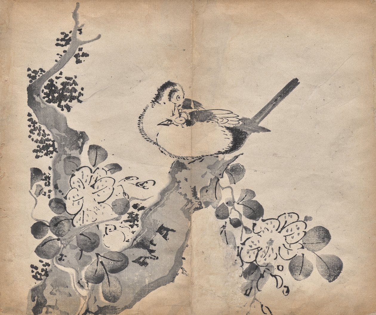花与鸟 作者 未知艺术家
