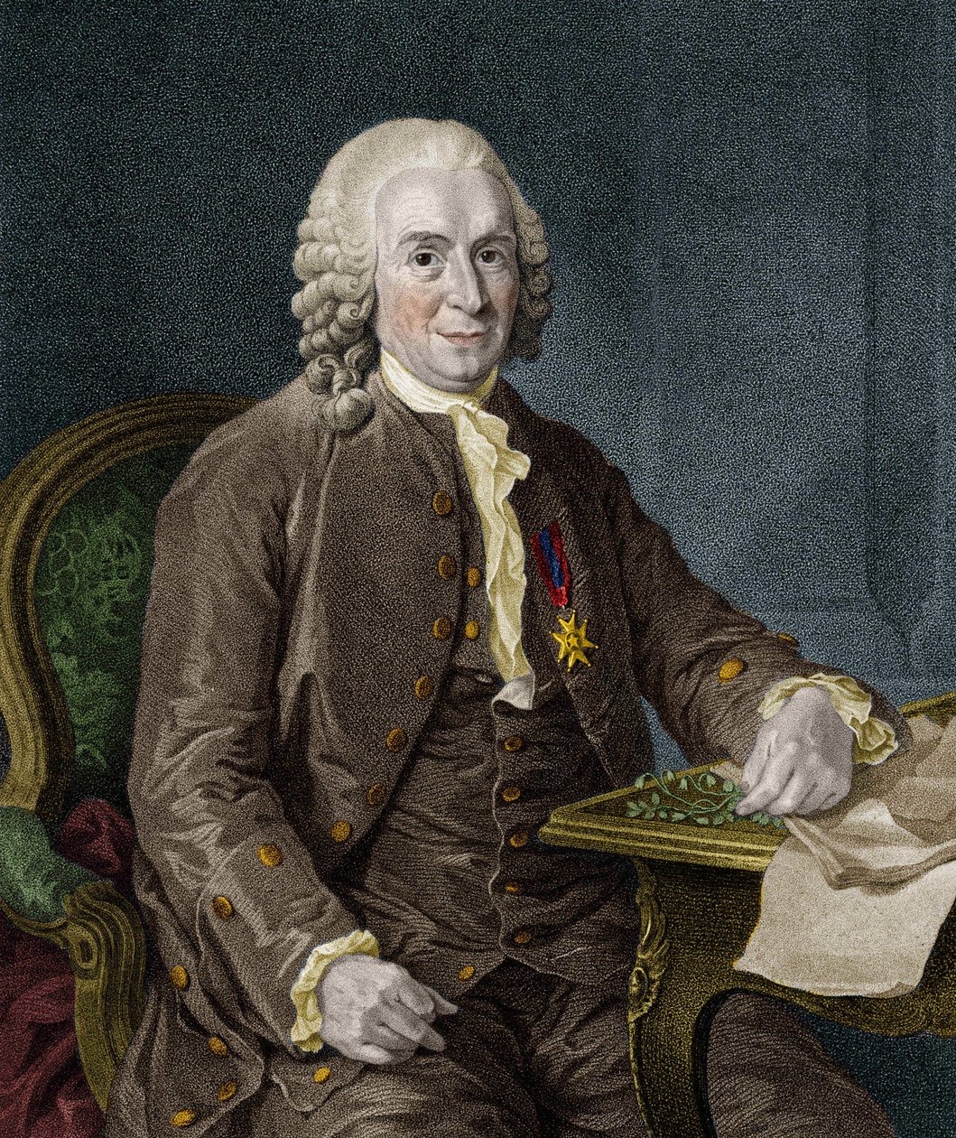 卡尔-冯-林内 瑞典博物学家和作家（1707 - 1778）。 作者 未知艺术家