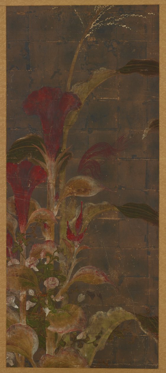 玉米和牵牛花。 作者 未知艺术家