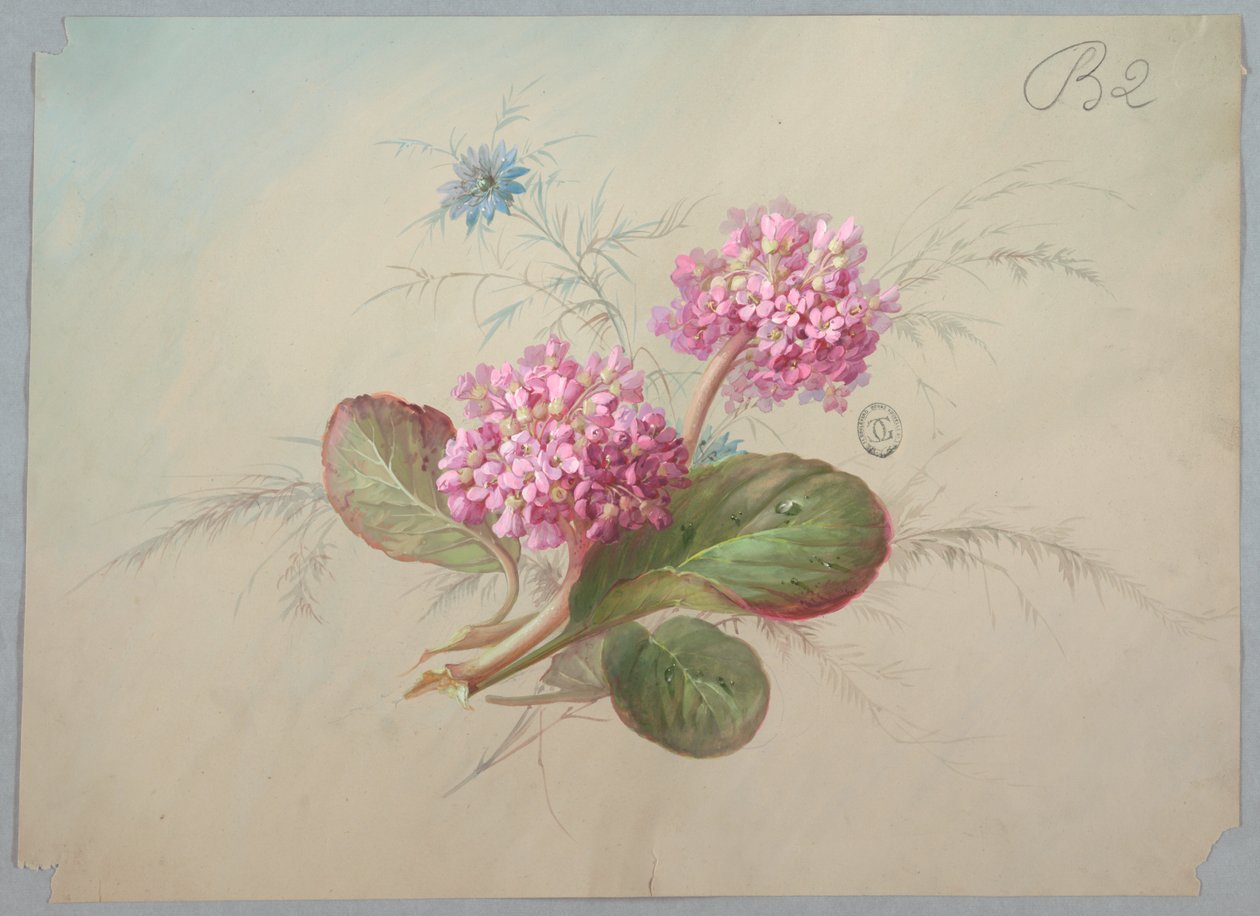 壁纸和纺织品的设计：花卉 作者 未知艺术家