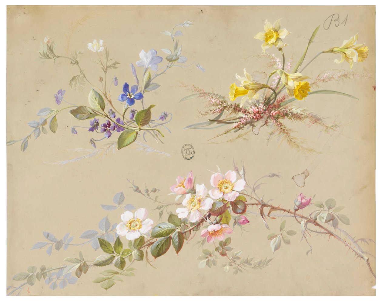 壁纸和纺织品设计：花卉 作者 未知艺术家