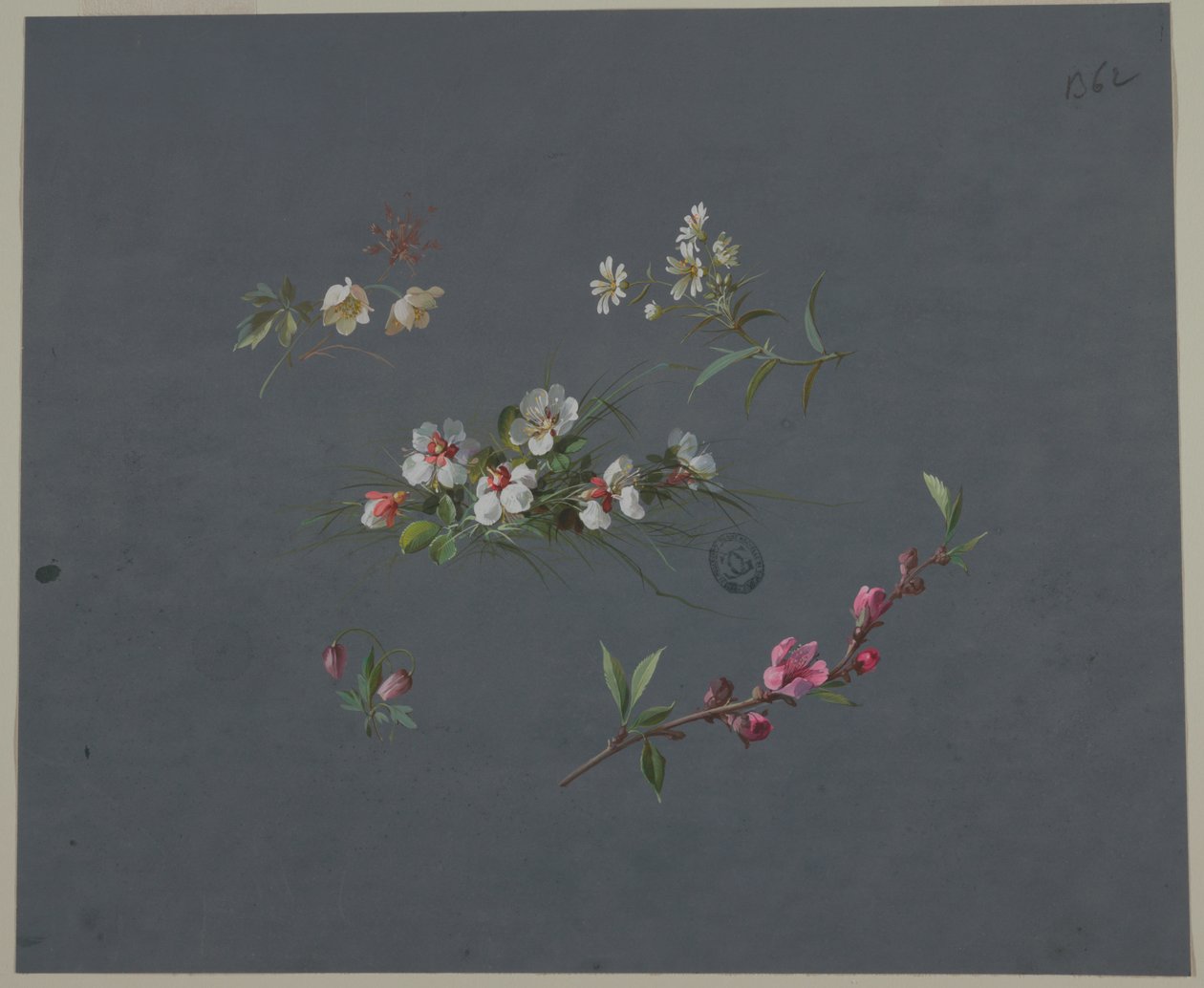 壁纸和纺织品设计：花卉 作者 未知艺术家