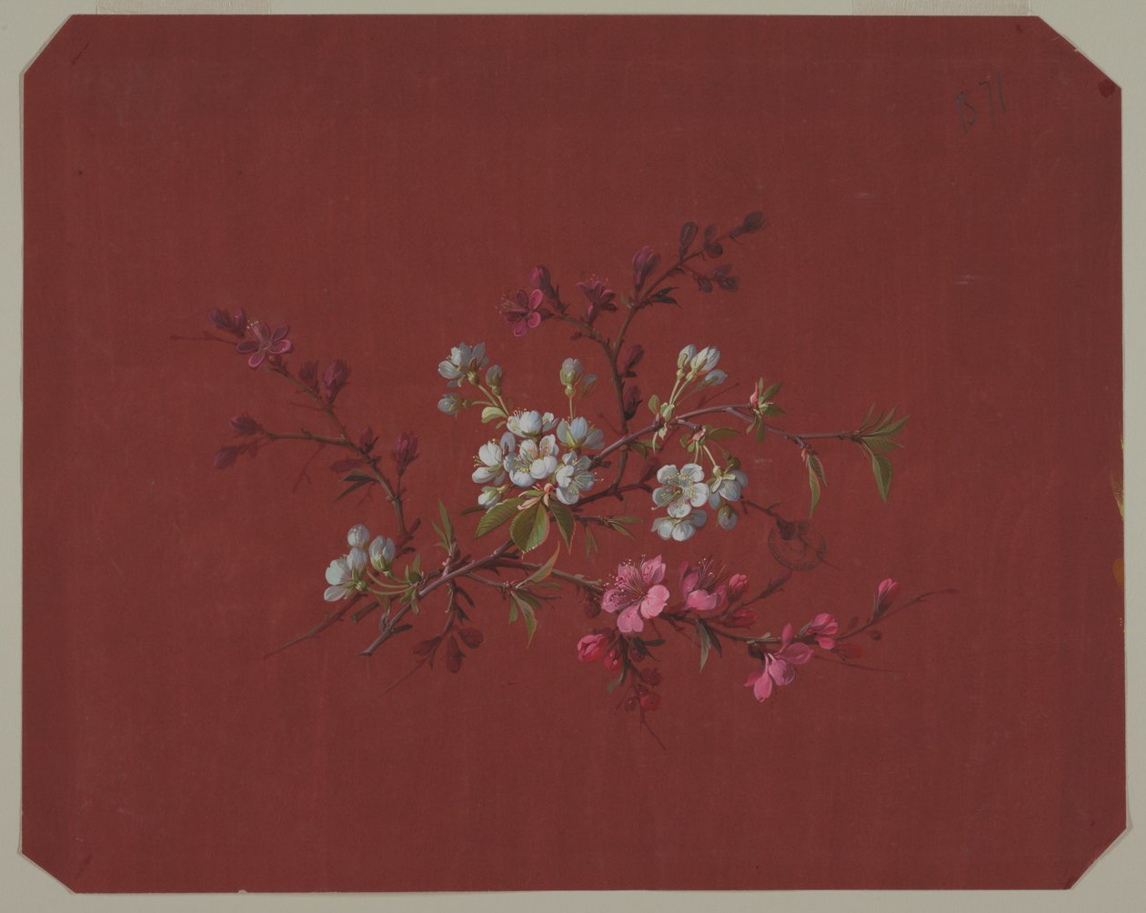 壁纸和纺织品设计：花卉 作者 未知艺术家