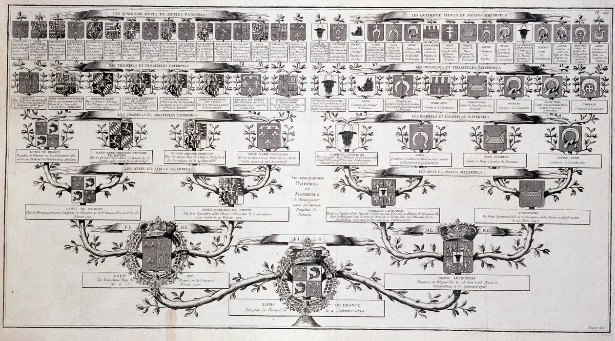 Family tree of the dolphin of France, son of Louis XV and Marie Leczcinski - in “” Encyclopedia”” by Diderot 作者 未知艺术家
