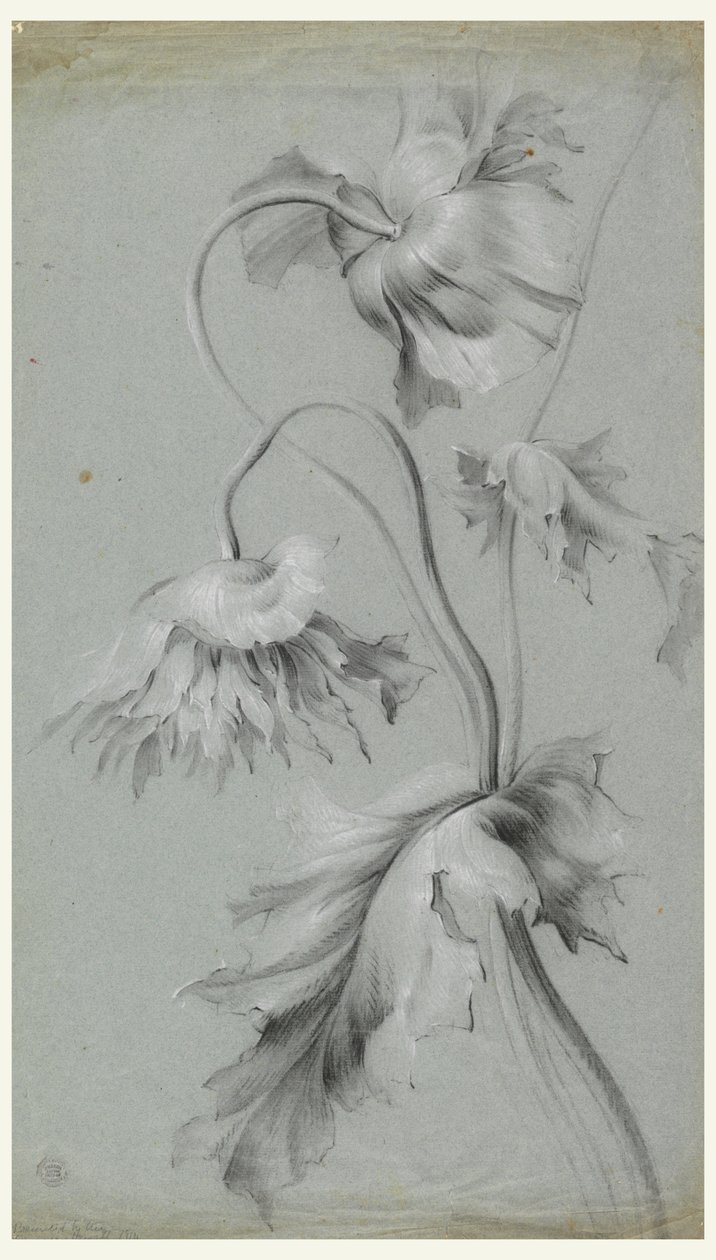 花艺设计 作者 未知艺术家