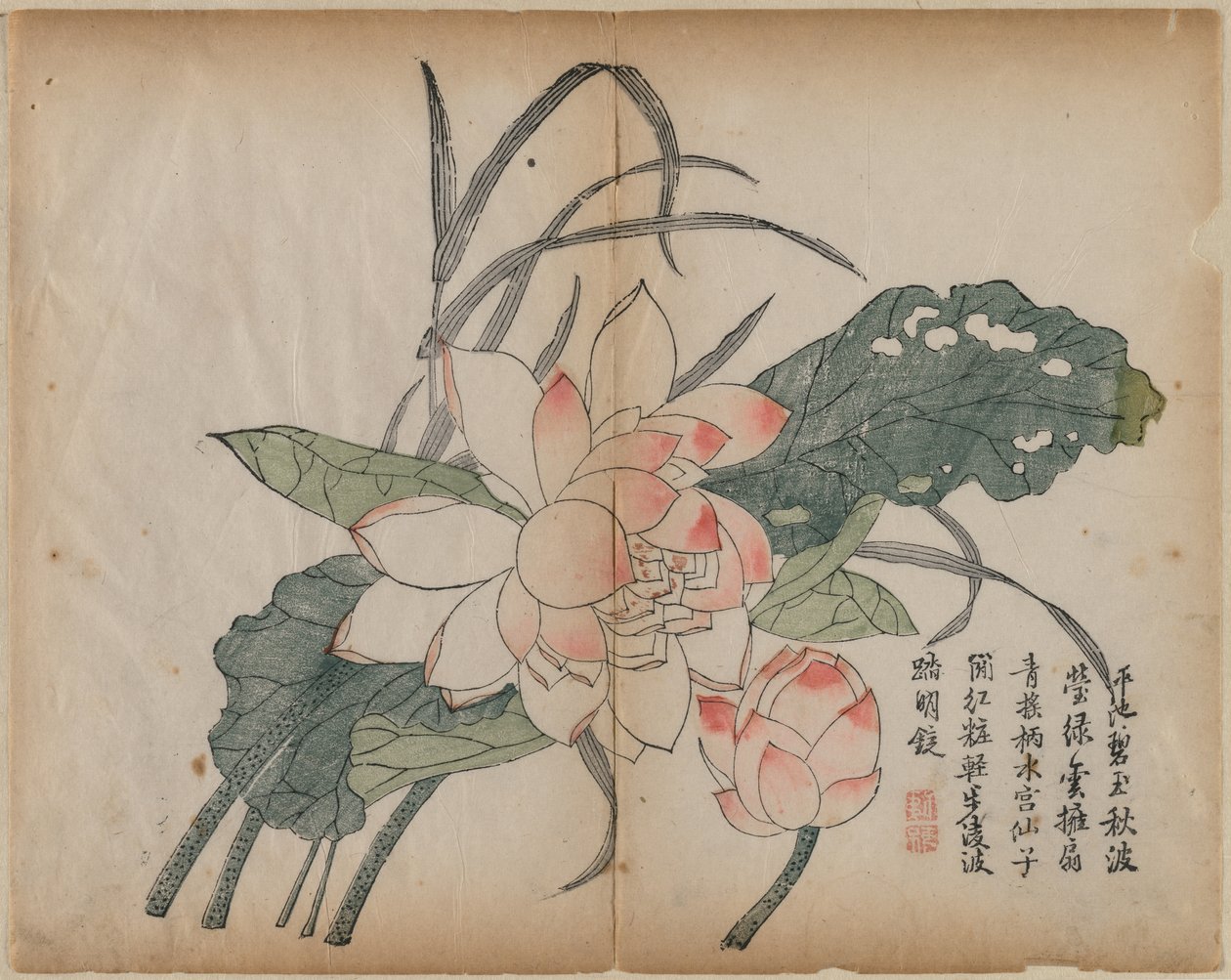 荷花和花蕾 作者 未知艺术家