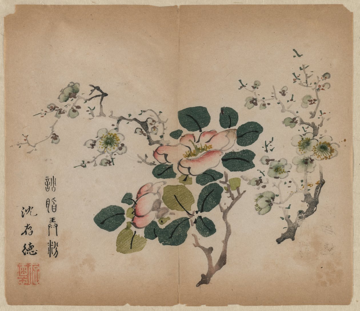 开花的梅花 作者 未知艺术家
