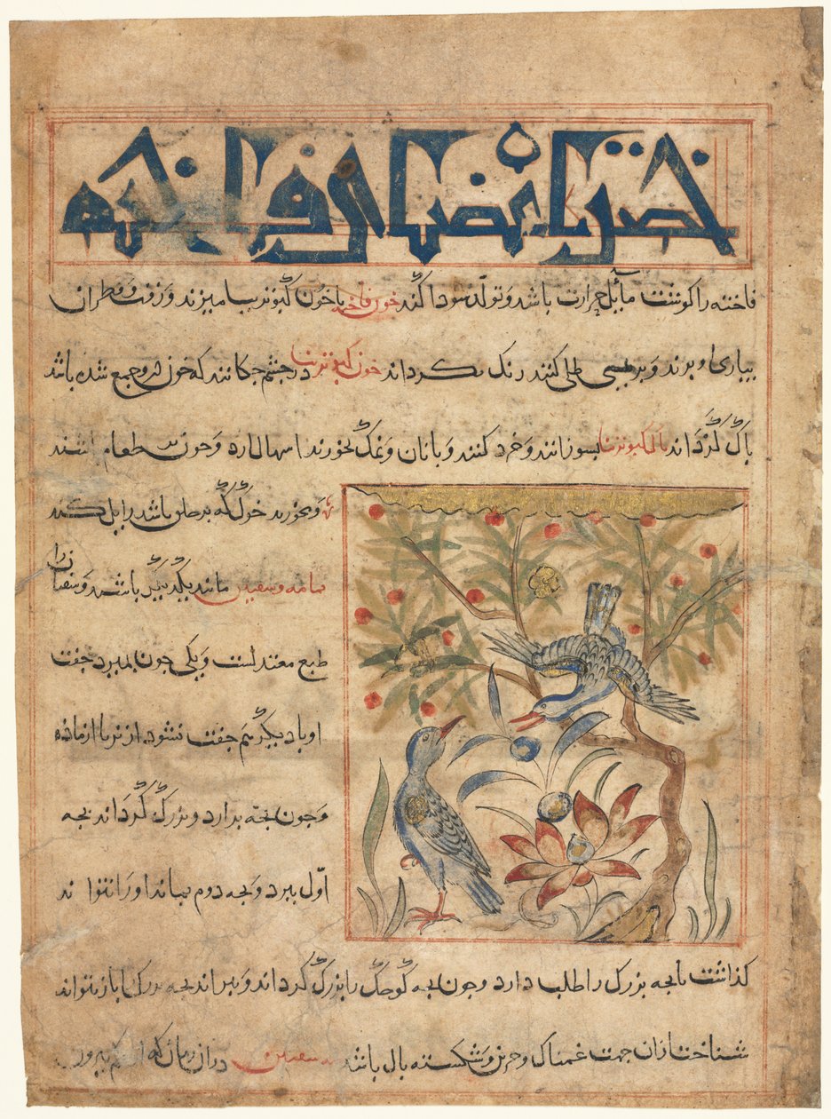 来自 Abu Said Ubaid-Allah ibn Jibrail ibn Bakhtishu（卒于 1058-68 年）的波斯文 Manafi