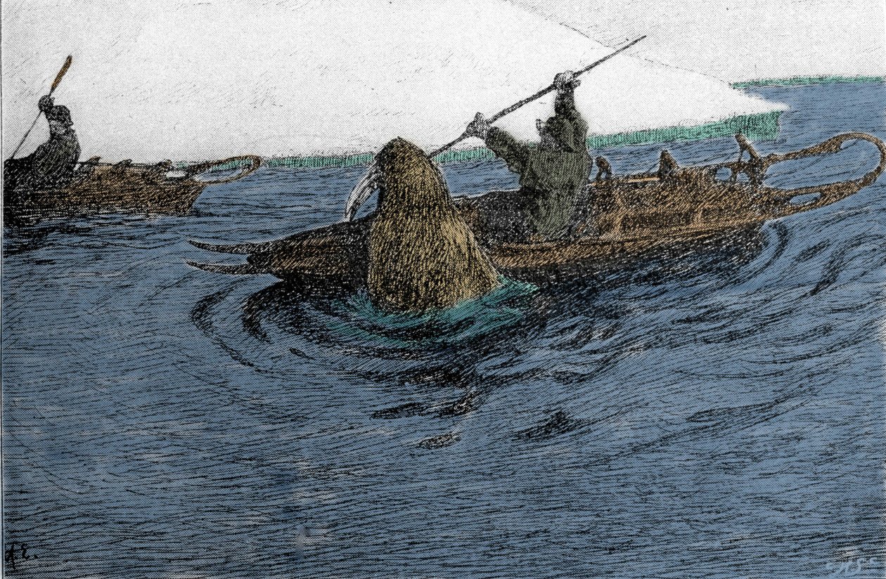 南森（Fridtjof Nansen）（1861-1930），挪威探险家，1896年考察北极时被海象袭击。他在皮划艇上背着Schlitte号。19世纪的雕版画。 作者 未知艺术家