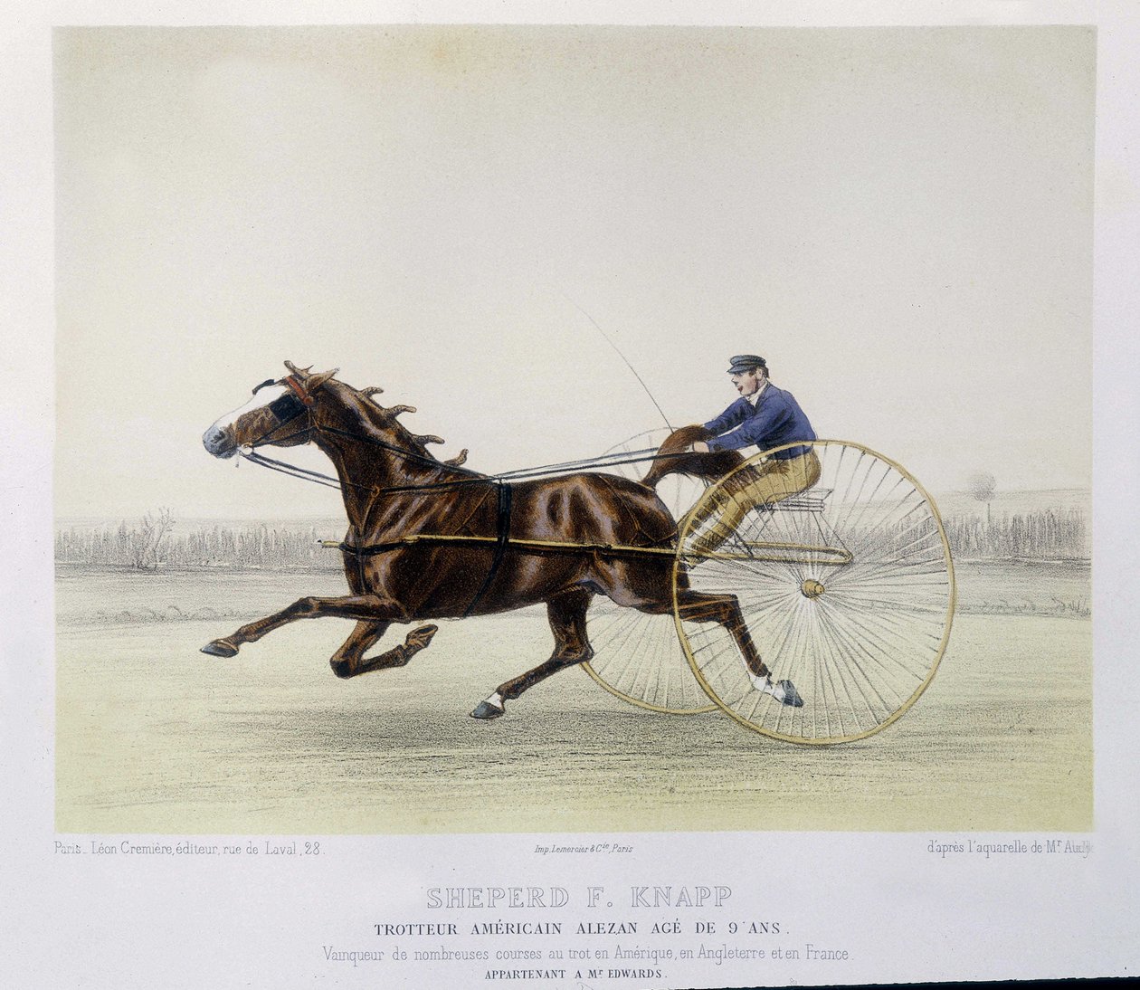 骑马：Shepherd F. Knapp, trotter - in “” the centaur”” 作者 未知艺术家