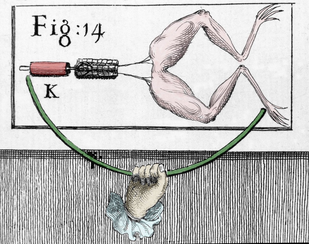 意大利物理学家兼医生 Luigi Galvani (1737 - 1798) 的实验插图，解释了电流移动青蛙腿的过程。 作者 未知艺术家
