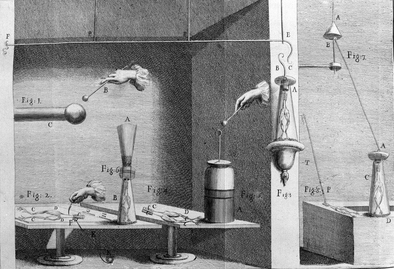 意大利物理学家兼医生 Luigi Galvani (1737 - 1798) 的实验插图，解释了电流移动青蛙腿的过程。 作者 未知艺术家