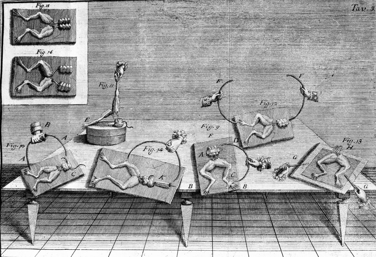 意大利物理学家兼医生 Luigi Galvani（1737 - 1798）的实验插图解释了电流移动青蛙腿的过程。 作者 未知艺术家