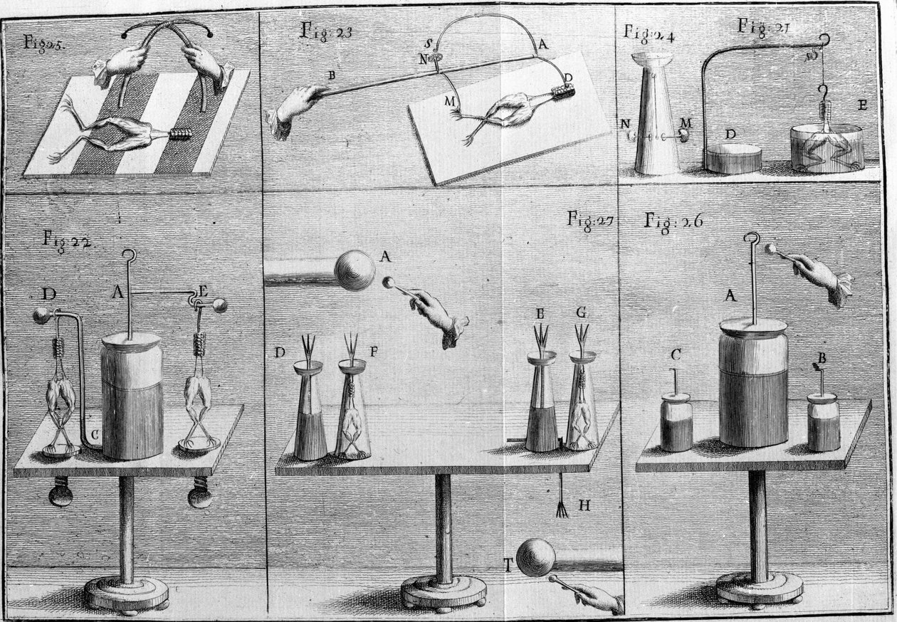 意大利物理学家兼医生 Luigi Galvani (1737 - 1798) 的实验插图，解释了电流移动青蛙腿的过程。 作者 未知艺术家