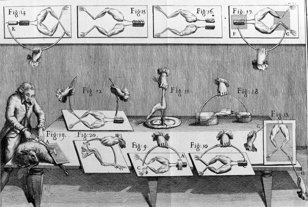 Illustration of experiments by Luigi Galvani, Italian physicist and physician (1737 - 1798) explaining the passage of electric current moving the legs of a frog. 作者 未知艺术家