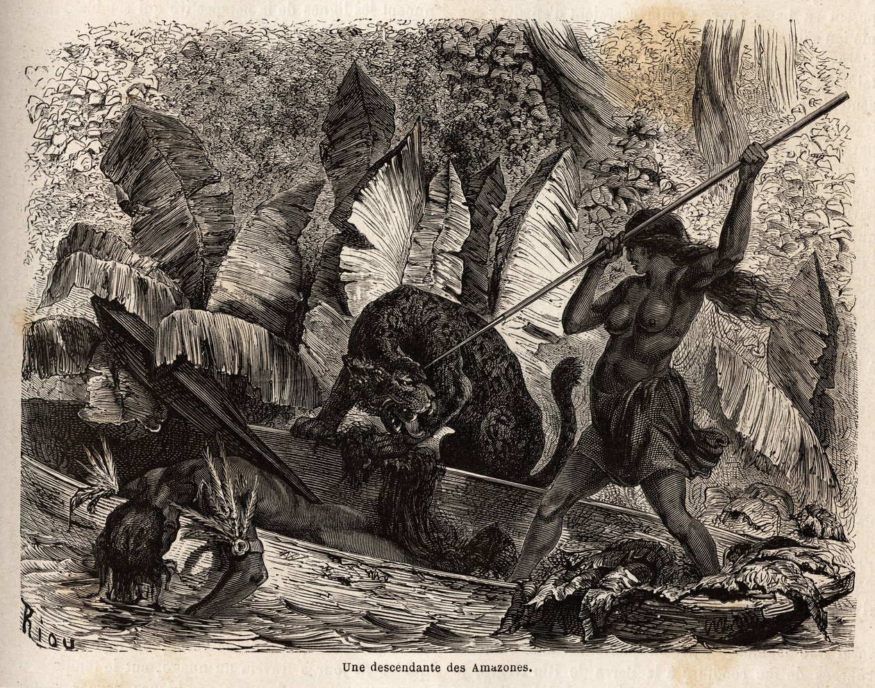 Indian ticuna (Peru) attacking with a spear a tiger who just jumped into his canoe and injured his companion, the ticunas of the Nhamondas River are reputable for their warrior wives, so the first travelers and scholars to observe them called them Amazons. 作者 未知艺术家