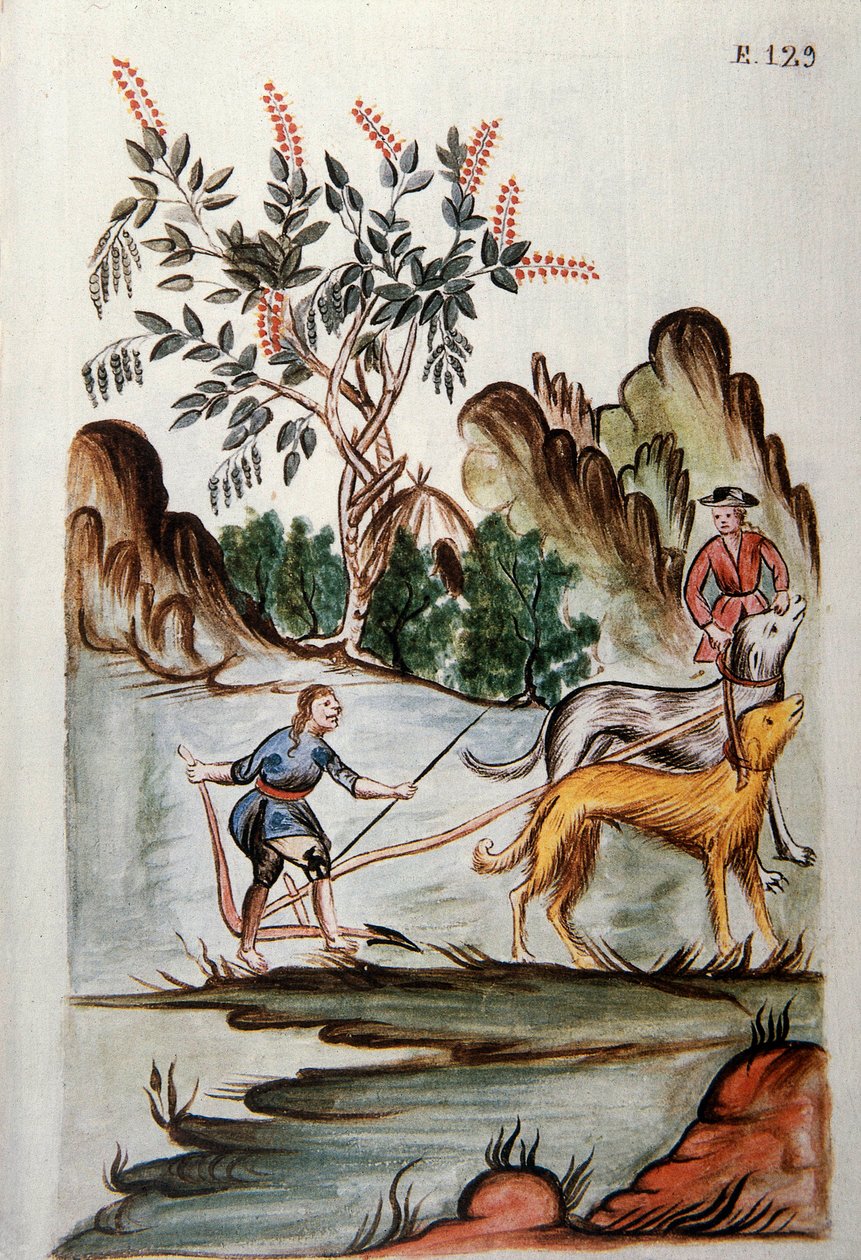印第安人用狗耕田，摘自《秘鲁的特鲁希略》或《马丁内斯-孔帕尼翁法典》一书，作者是特鲁希略主教巴尔塔萨-马丁内斯-孔帕尼翁-布扬达（1782-1785）。 作者 未知艺术家
