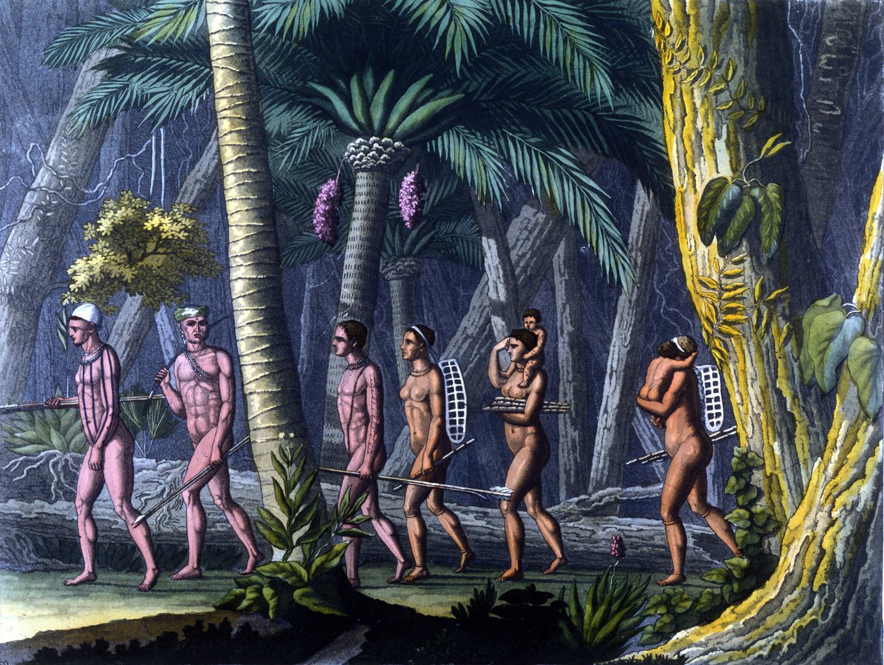 Indiens Puris dans la forêt (Brazil) - in “” Le costume ancien et moderne”” by Ferrario, ed. Milan 作者 未知艺术家