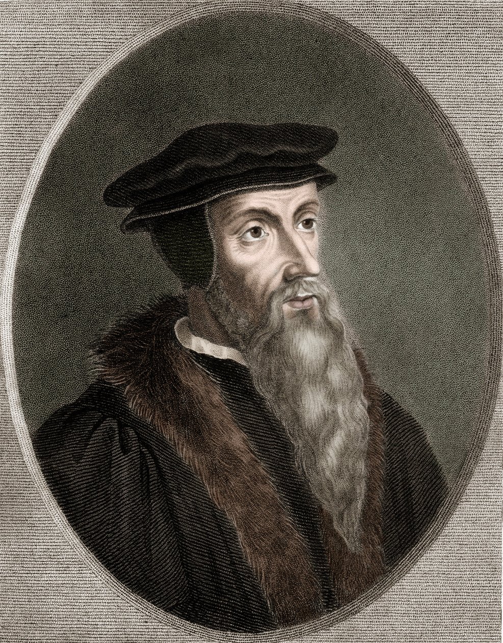John Calvin - Jean Calvin 1509-1564 - engraving - 19th century 作者 未知艺术家