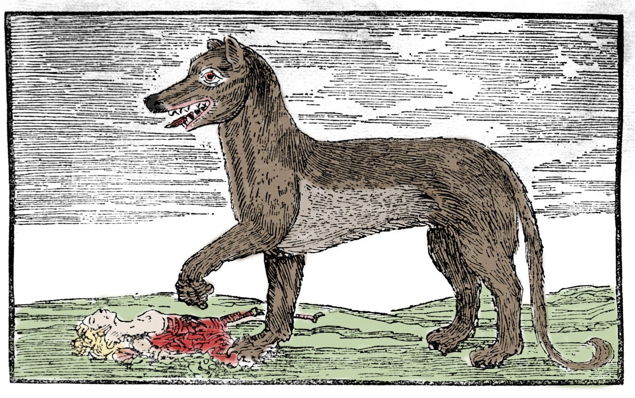 La bete du Gevaudan 来自 "圣詹姆斯编年史 "的雕版画 作者 未知艺术家