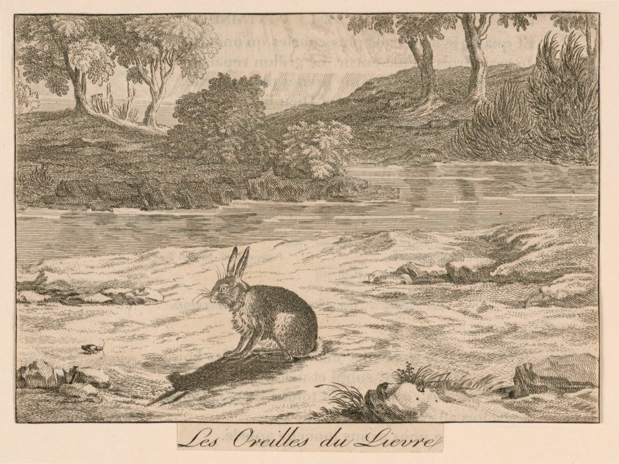 拉封丹寓言中的 "Les Oreilles du Lieure"（"Les Oreilles du Lieure"）。 作者 未知艺术家