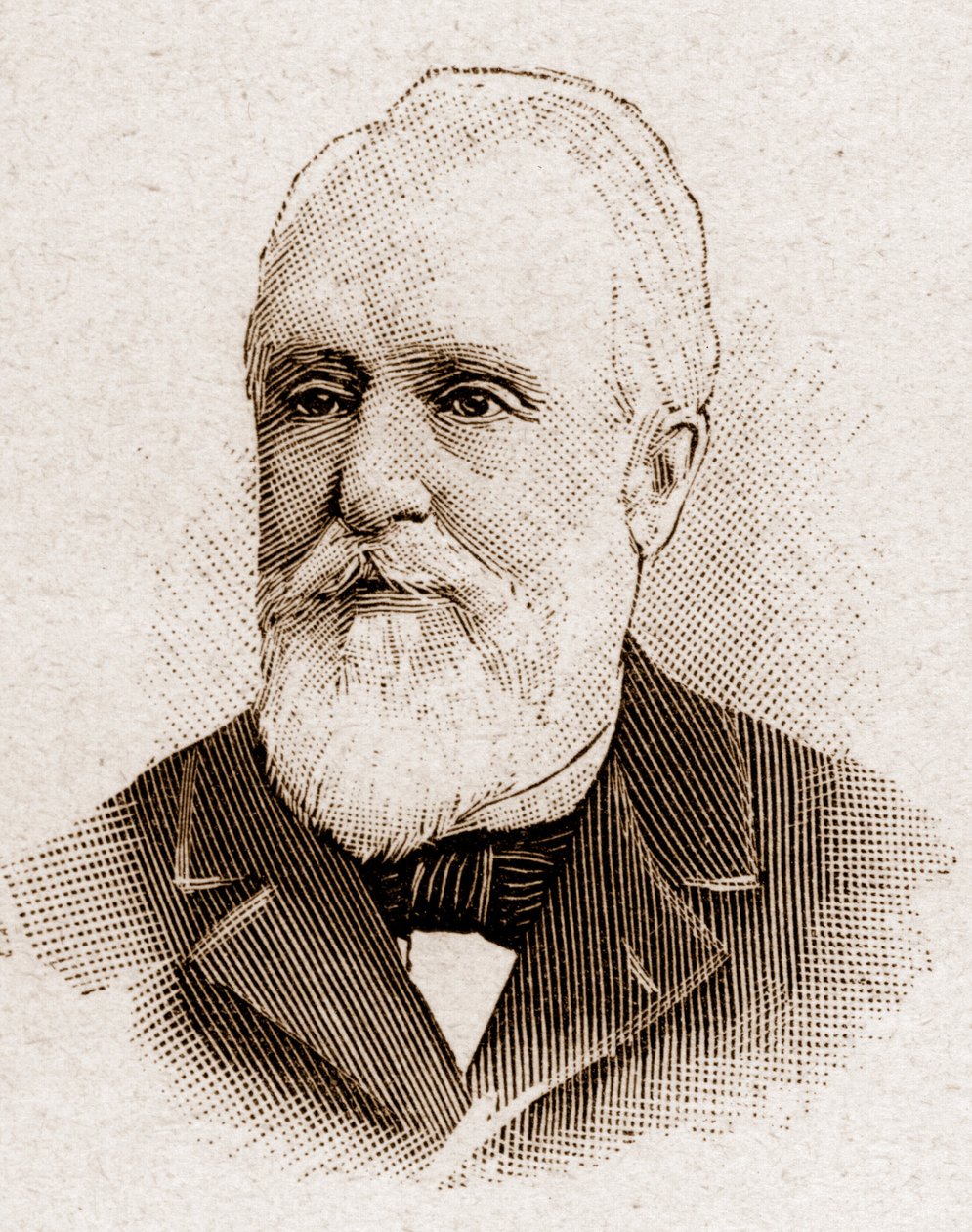 1895年的法兰西学院成员：保罗-阿尔芒-夏勒梅尔-拉库尔（Paul-Armand Challemel-Lacour）（1827-1896）的画像，政治家、外交家和法国哲学史家。 作者 未知艺术家