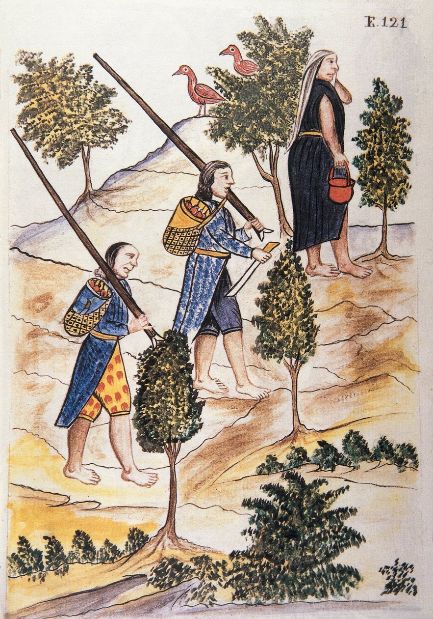 Motilones 印第安人要去打猎，出自《秘鲁特鲁希略》或《Códice Martínez Compañón》一书，作者是特鲁希略主教巴尔塔扎尔·马丁内斯·康帕尼翁 y Bujanda（1782-1785） 作者 未知艺术家
