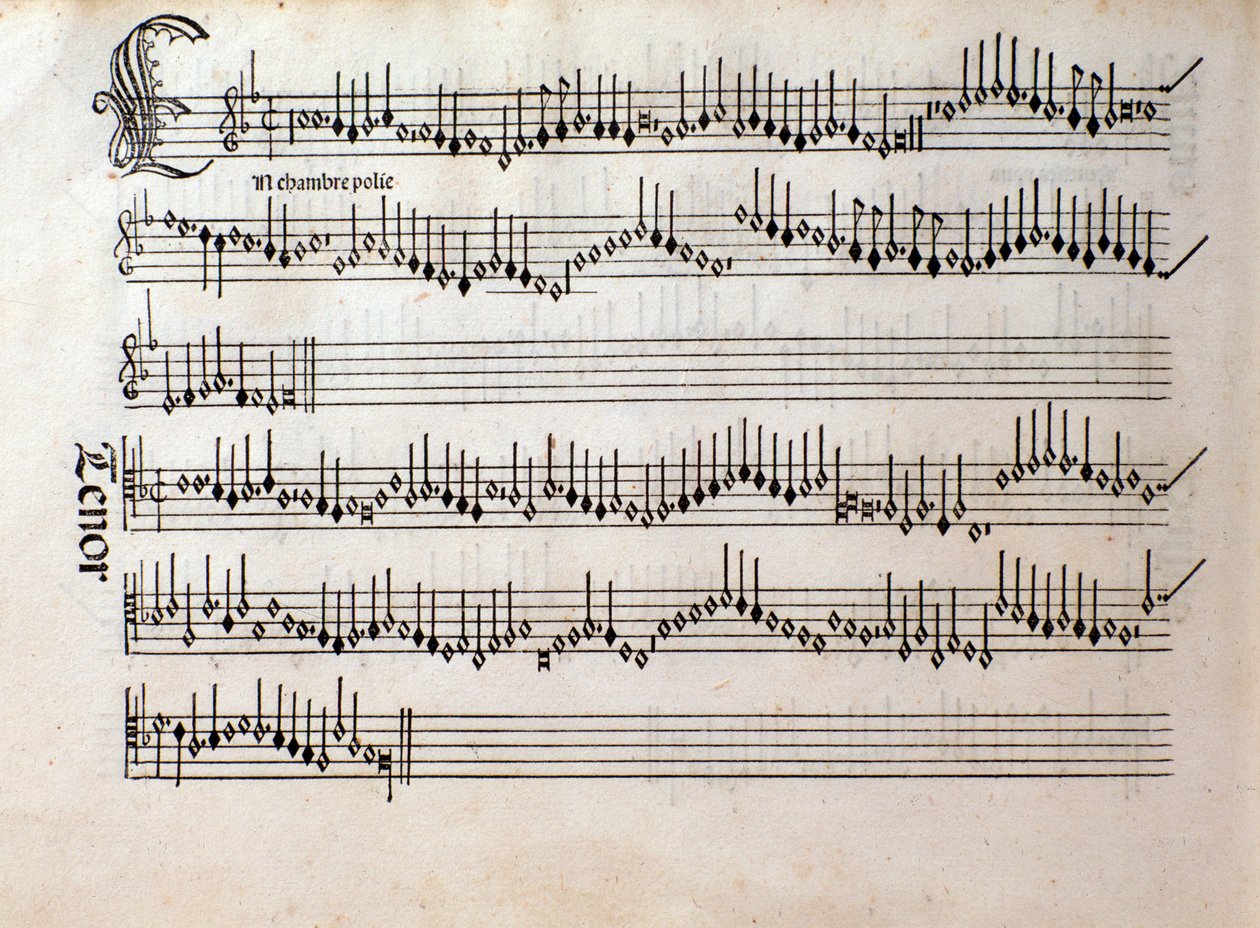 Ottaviano Petrucci (1501) 和声音乐 Odhecaton 的乐谱页面 作者 未知艺术家