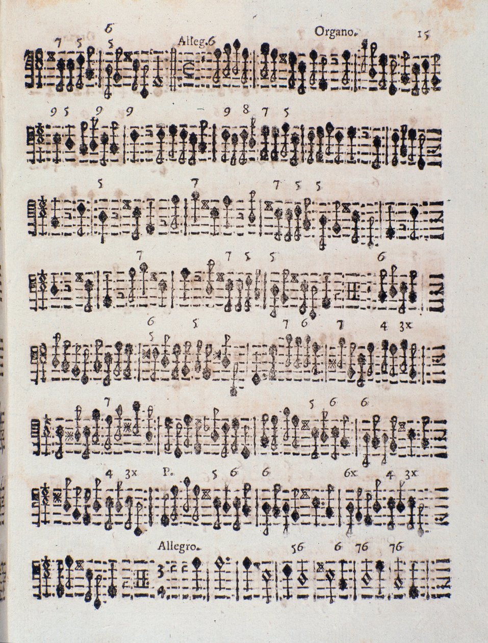 Giuseppe Aldrovandini的Sonata a 2 violins, cello and organ, op. 5 (1706)乐谱页 作者 未知艺术家