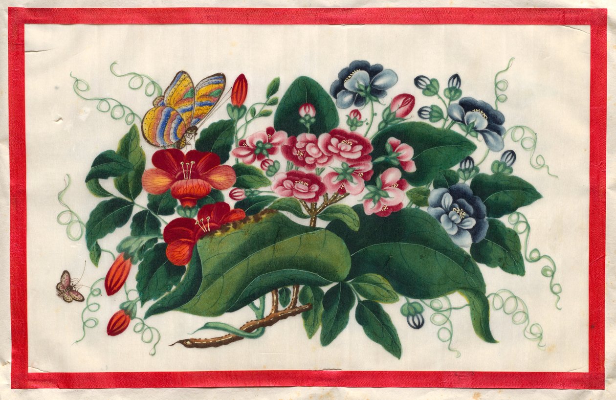 花蝴蝶图鉴》绘画五 作者 未知艺术家