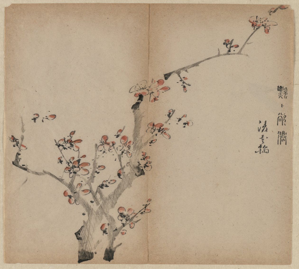 桃花 作者 未知艺术家