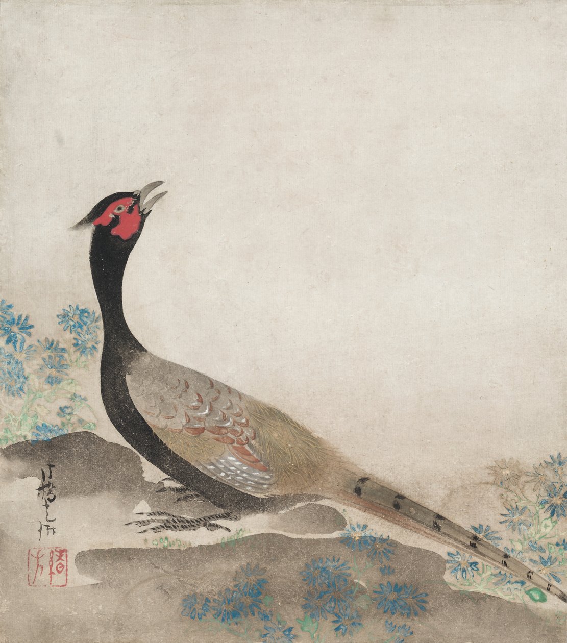 野鸡 作者 未知艺术家