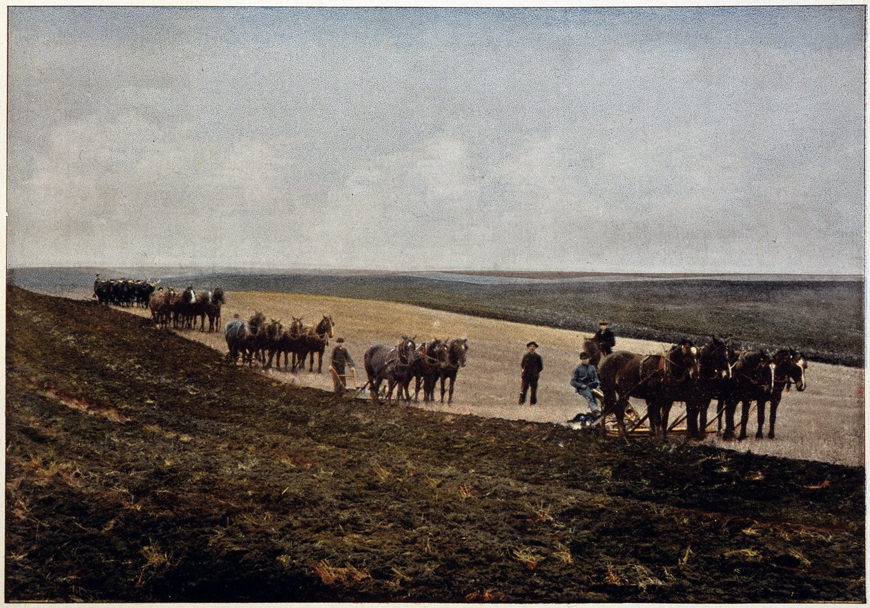 Ploughing in the Manitoba Plains (Canada), late 19th century 作者 未知艺术家