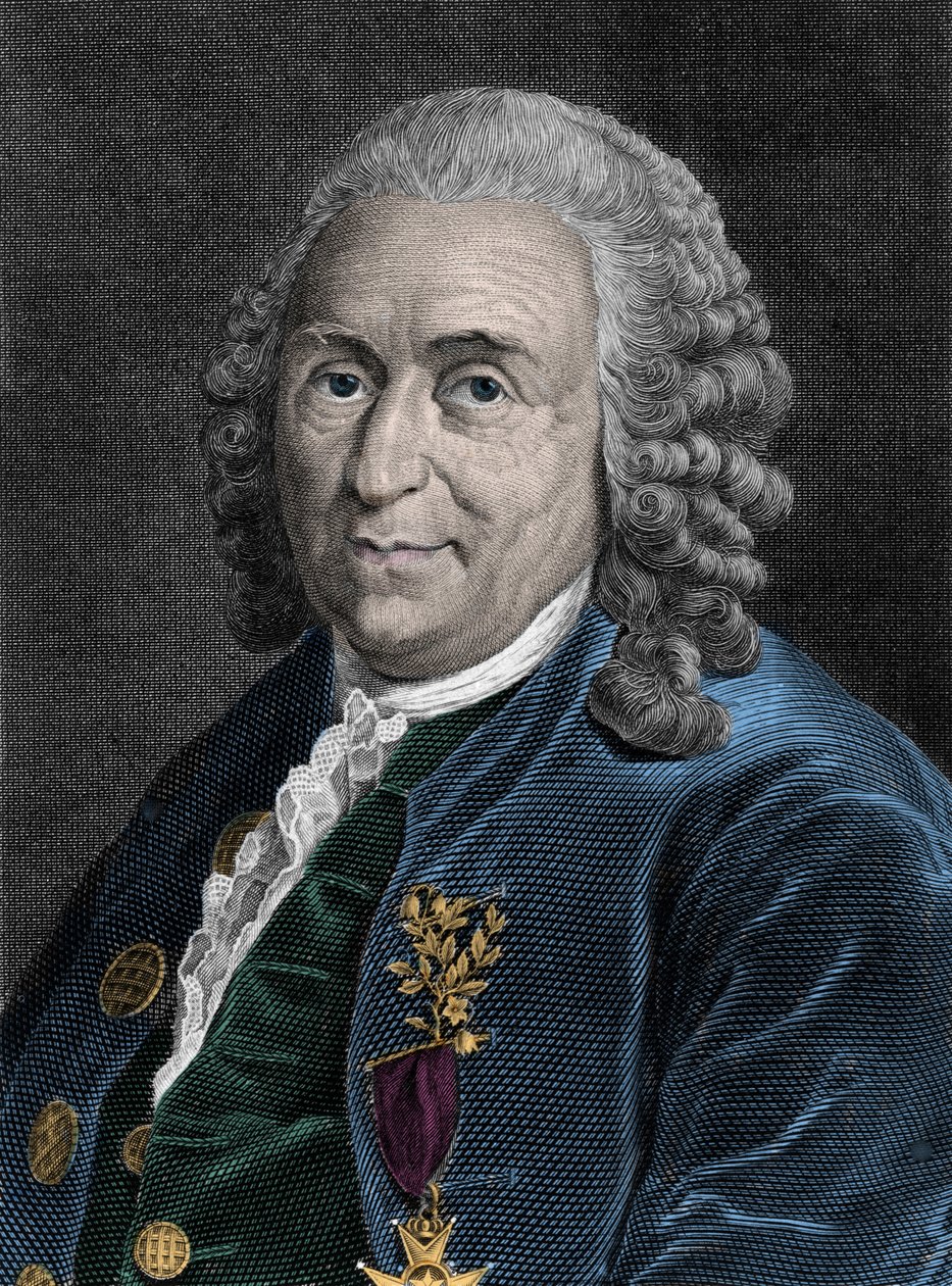 查尔斯·林内 (Carl von Linne, Linneus 1707-1778) 的肖像，瑞典博物学家。 19 世纪的雕刻。 作者 未知艺术家