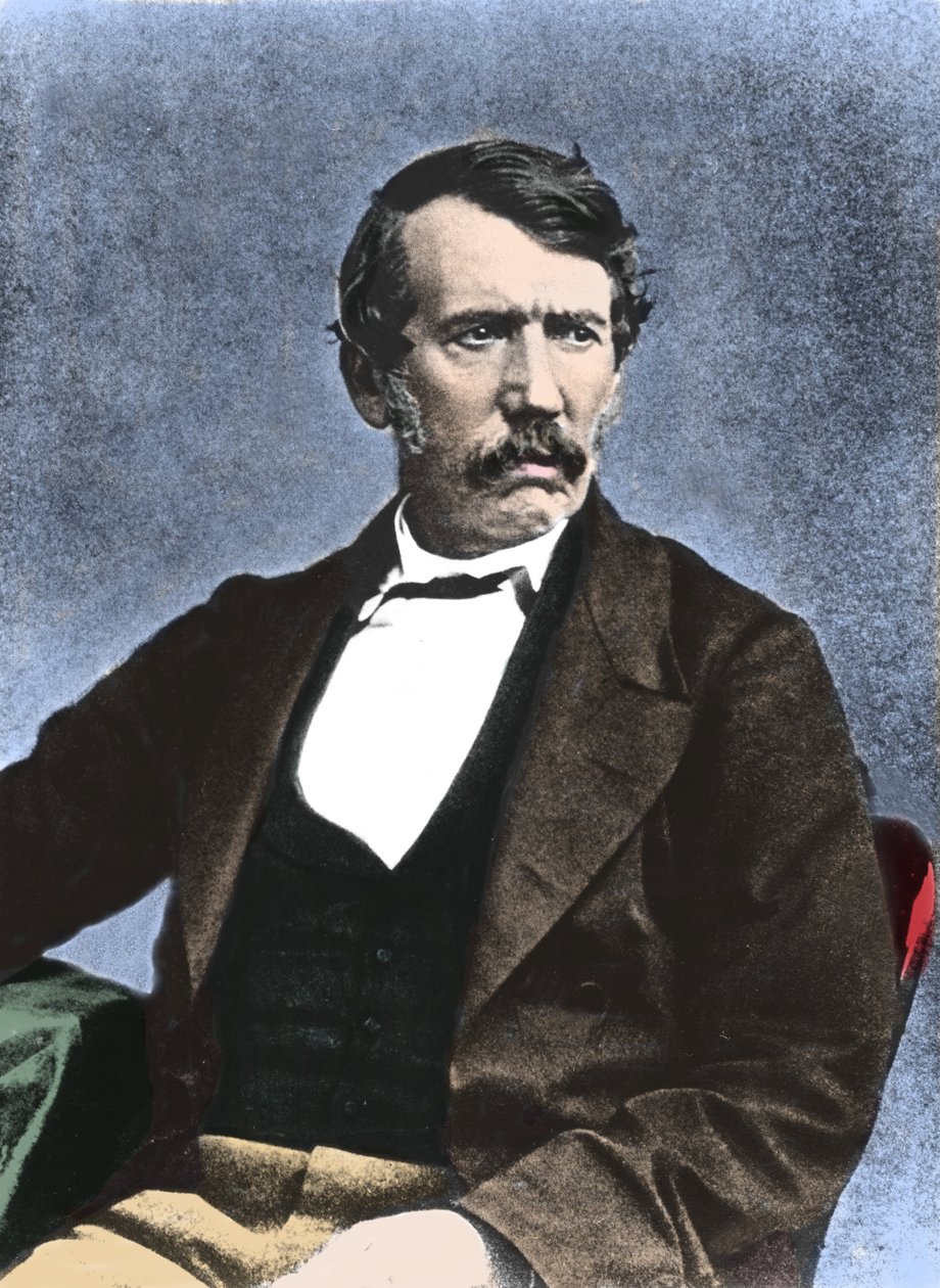 Portrait of David Livingstone (1813-1873) Scottish missionary and explorer. 作者 未知艺术家