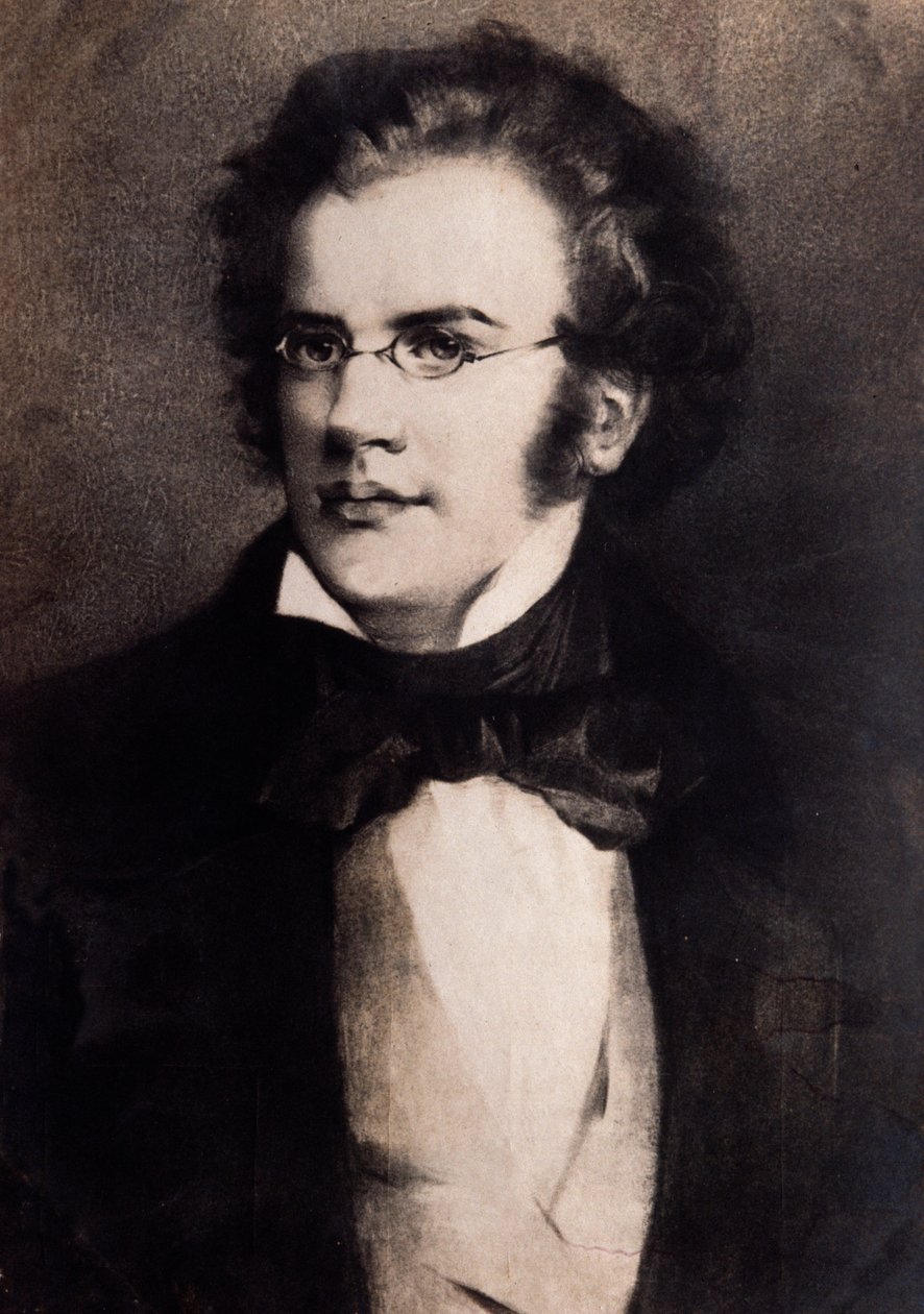 Portrait of Franz Schubert (engraving) 作者 未知艺术家