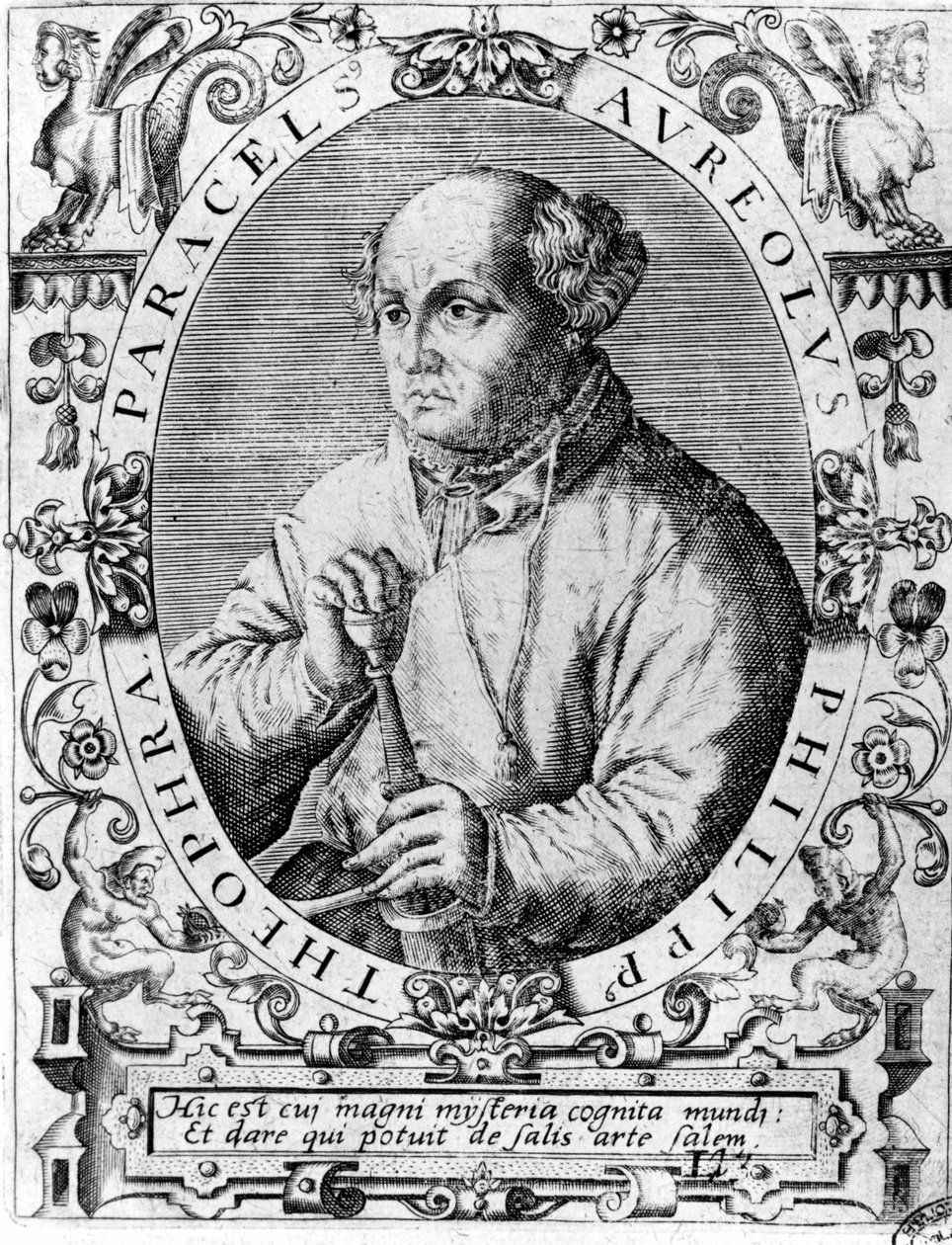 菲利普·奥雷奥勒斯 Theophrast Bombast von Hohenheim Paracelsus 的肖像 作者 未知艺术家