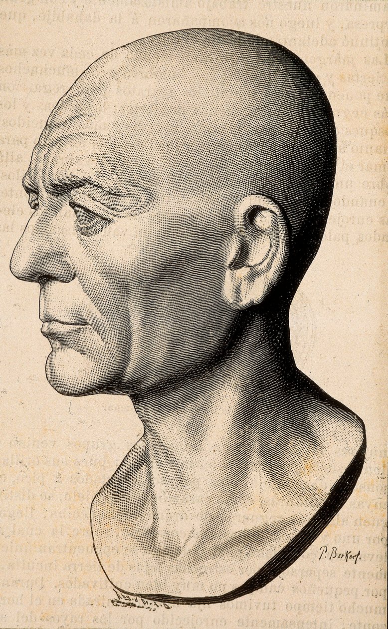 西庇阿（Scipio the African）的肖像 非洲人，罗马政治家（公元前 235-183 年）。 作者 未知艺术家
