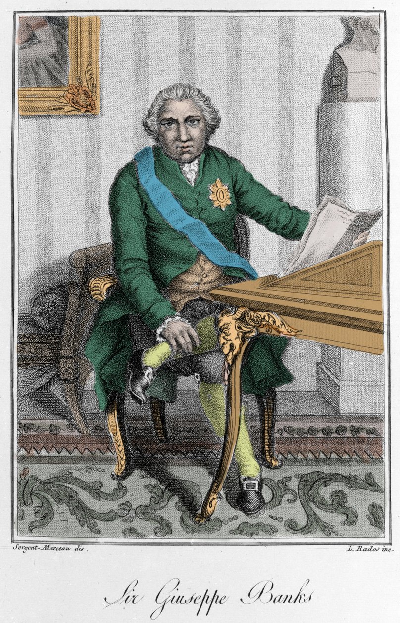 约瑟夫·班克斯爵士 (1743-1820) 的肖像，英国探险家和博物学家。 彩色雕刻 作者 未知艺术家
