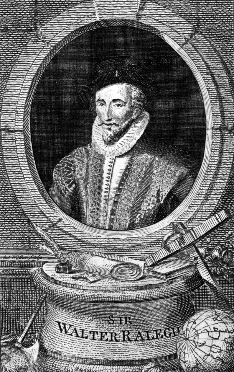 Portrait of Sir Walter Raleigh (1554 - 1618), English courtier navigator and writer. Engraving of the 18th century. 作者 未知艺术家