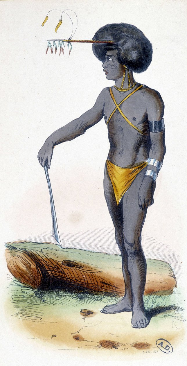 Portrait of a Papua, people of New Guinea. 作者 未知艺术家