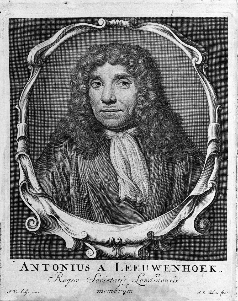荷兰商人和学者Antoine van Leeuwenhoek（或Leeuvenhoek Leeuwenhoeck）（或Antoni或Anthonie）（1632-1723）的肖像，来自1722年 "Investigatio Arcanorum "的雕刻。 作者 未知艺术家