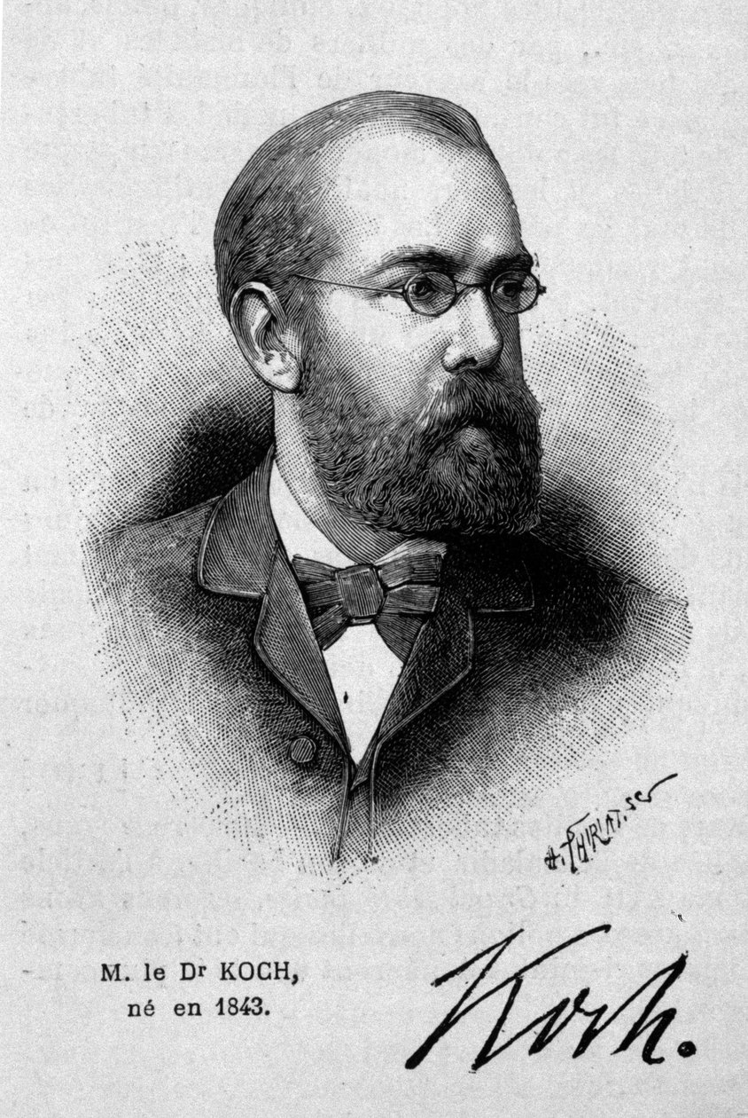 德国医生罗伯特·科赫 (1843-1910) 的肖像。 作者 未知艺术家