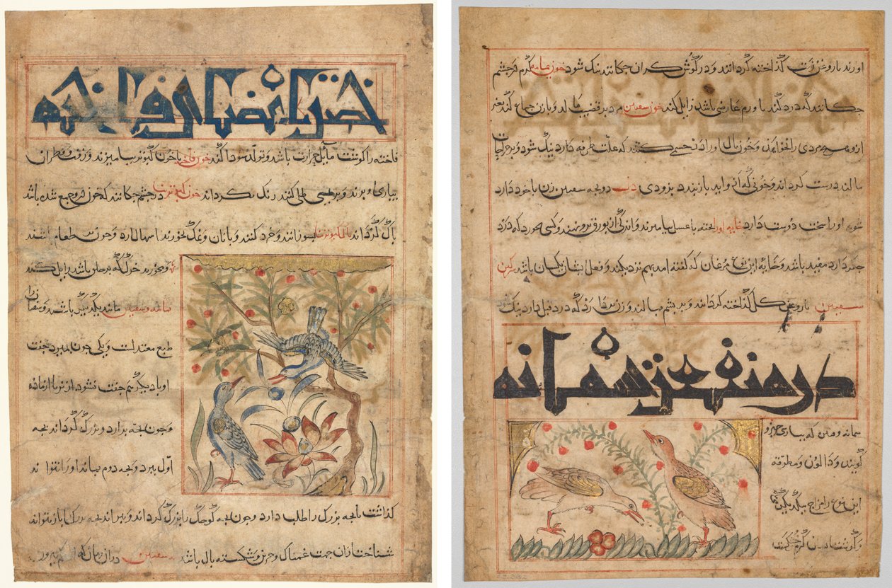环鸽的品质（正面）；论鹌鹑的益处（背面），摘自 Abu Said Ubaid-Allah ibn Jibrail ibn Bakhtishu（卒于 1058-68 年）的波斯文 Manafi