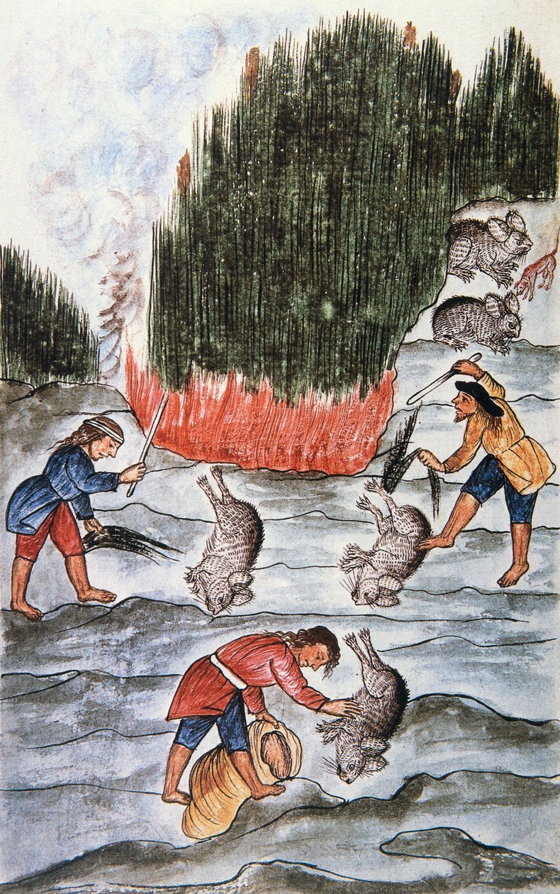 兔子狩猎，出自《秘鲁特鲁希略》或《Códice Martínez Compañón》一书，作者：特鲁希略主教巴尔塔扎尔·马丁内斯·康帕尼翁·布扬达 (1782-1785) 作者 未知艺术家