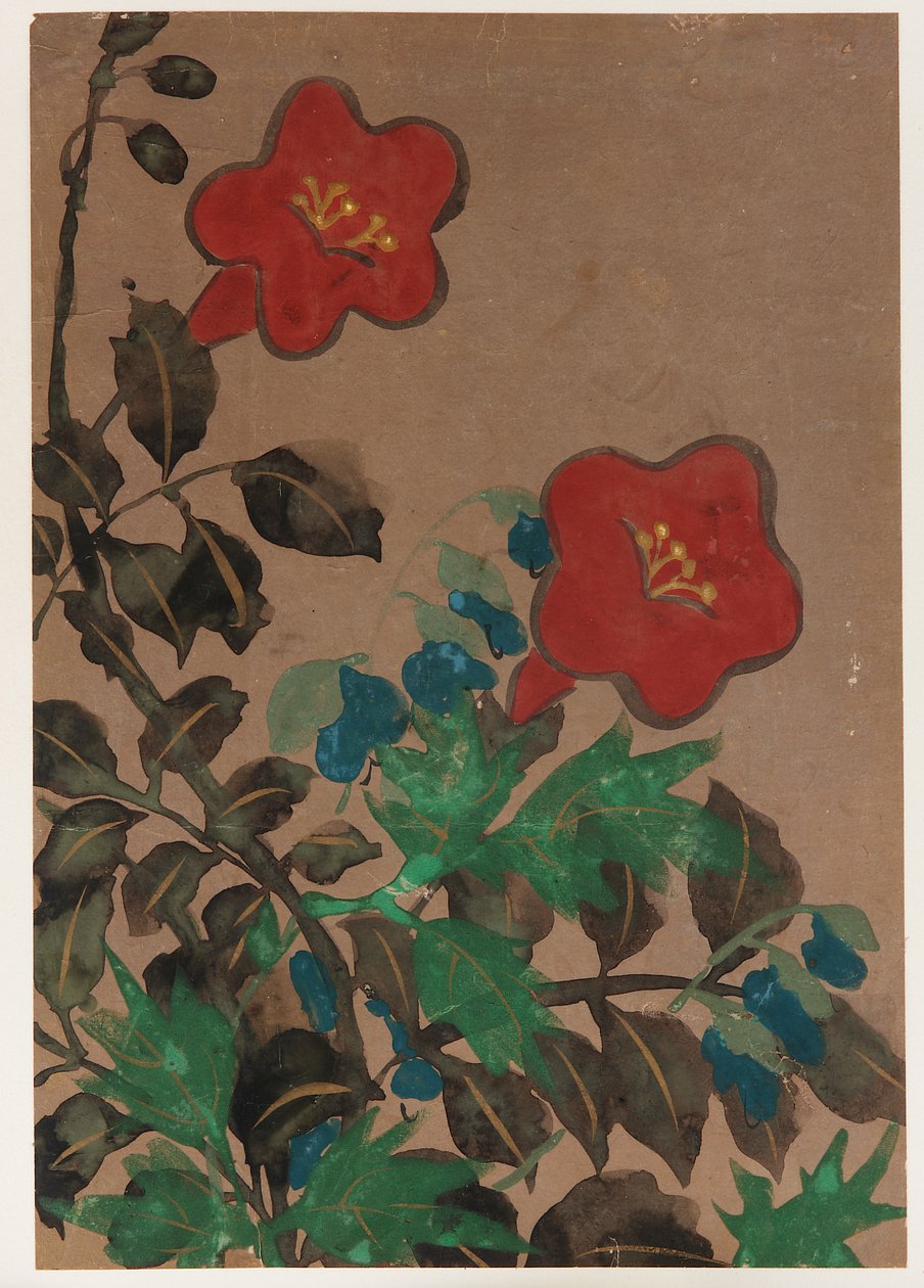红色和蓝色的花朵和叶子 作者 未知艺术家